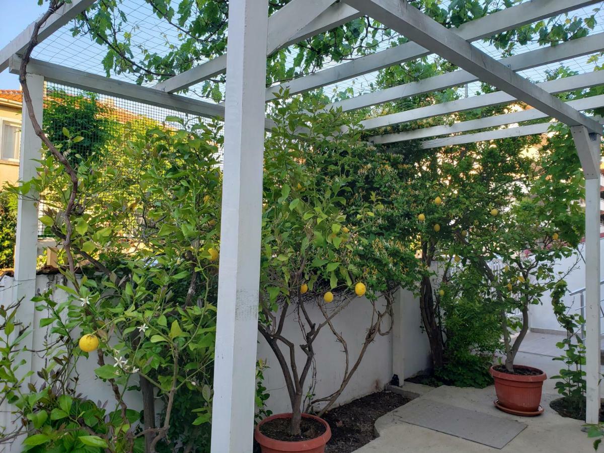 פרימורסקו Guest House Evtimov מראה חיצוני תמונה