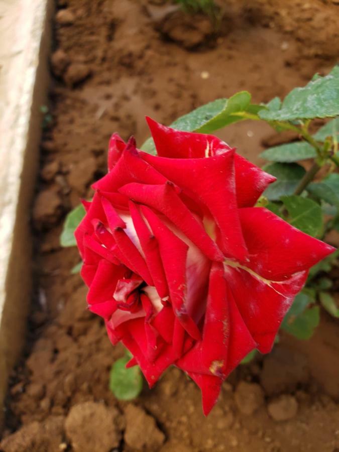פרימורסקו Guest House Evtimov מראה חיצוני תמונה